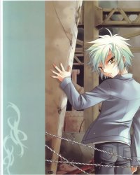 BUY NEW spiral - 83314 Premium Anime Print Poster